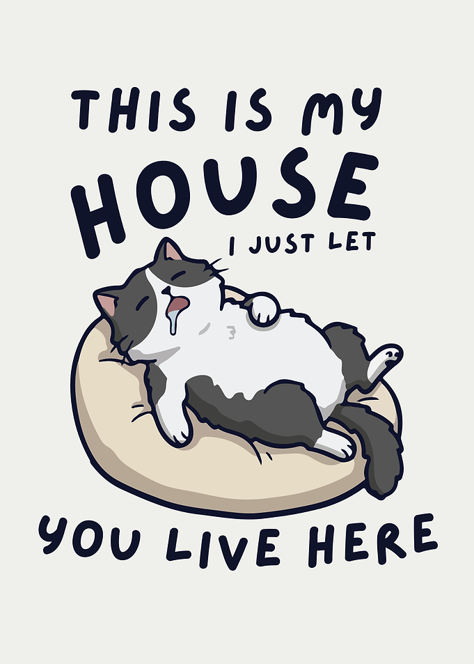 Funny Cat Says This Is My House, Funny Cat Quote