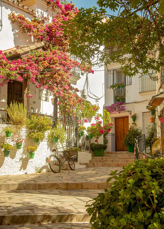 Charming European Street with Flowers and Bicycle