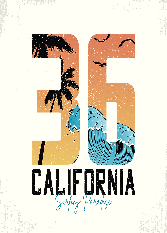 California Surfing Paradise 36