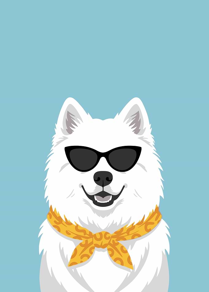 Cool Dog Wearing Sunglasses and Scarf