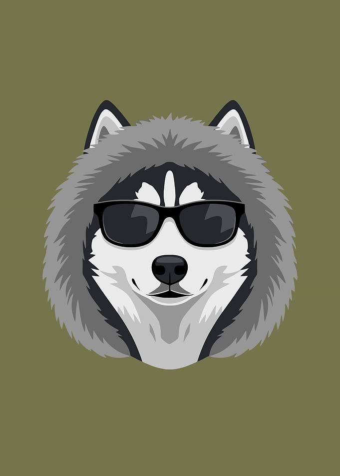 Cool Husky Dog Wearing Sunglasses