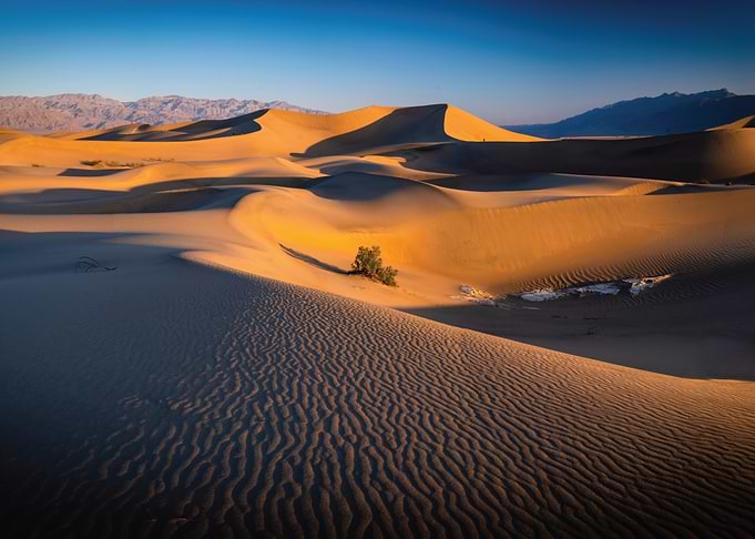 Golden Sand Dunes at Sunset
