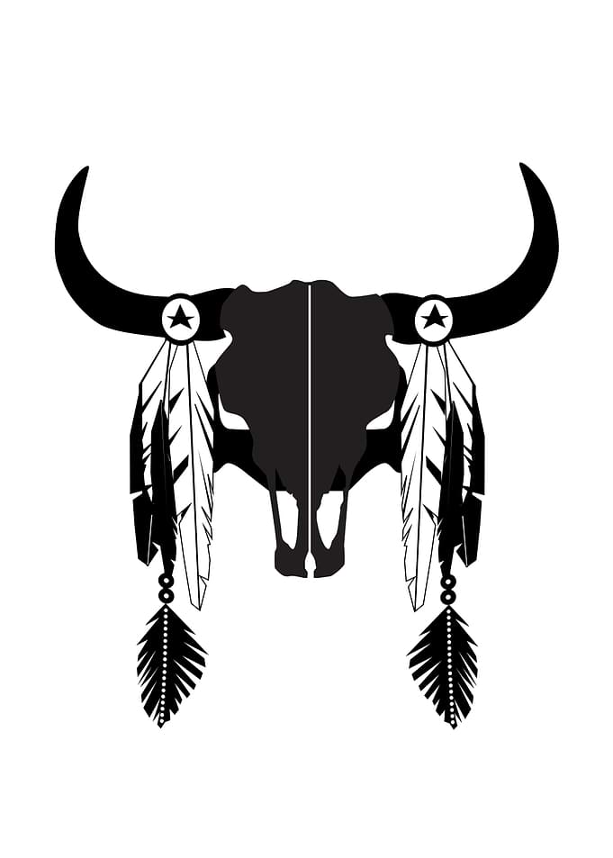 Bull Skull with Feathers and Star, black and white illustration
