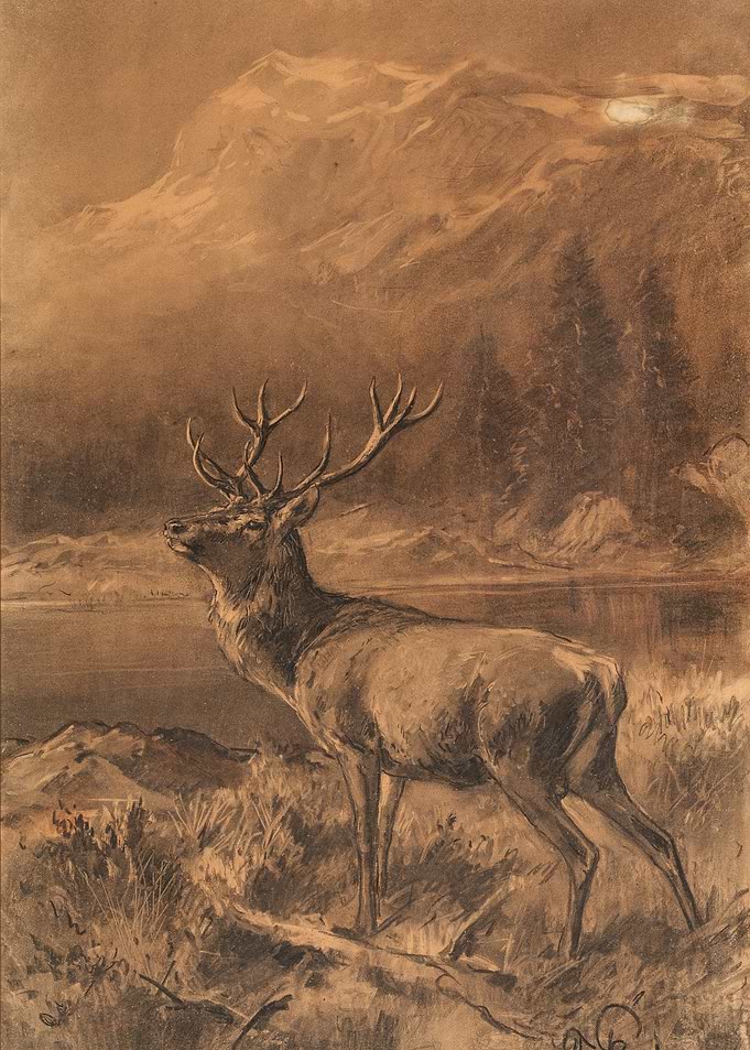 Majestic Elk in a Mountain Landscape