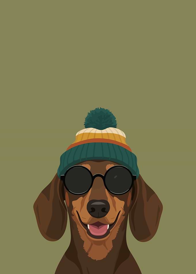 Dachshund Wearing a Beanie and Sunglasses