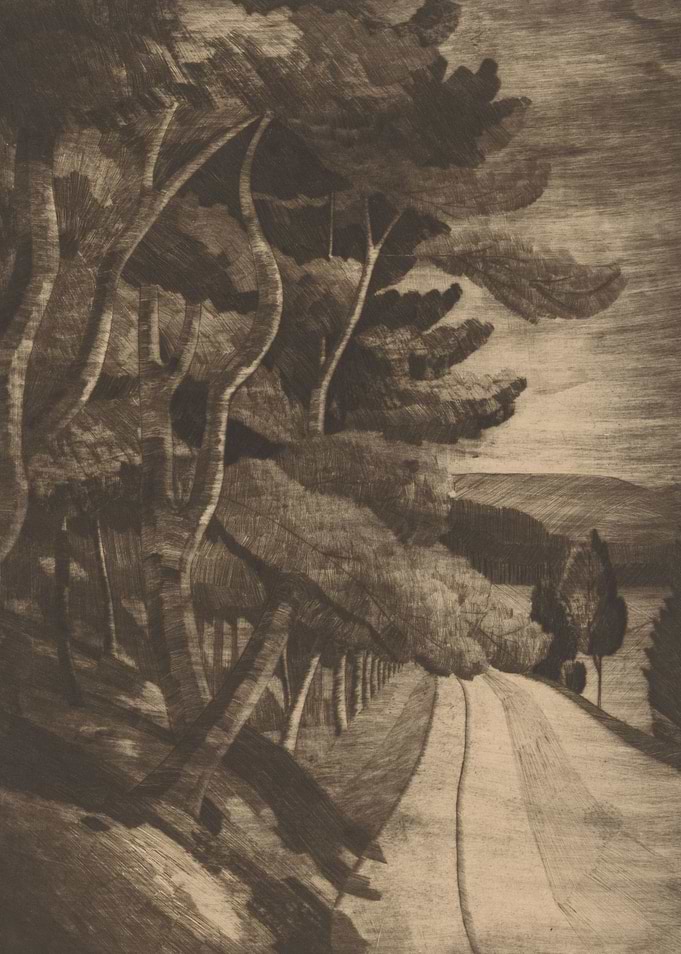 Winding Road Through Trees