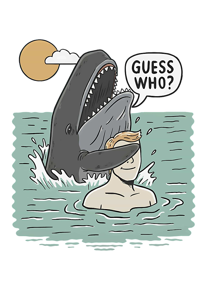 Shark Attacks Swimmer