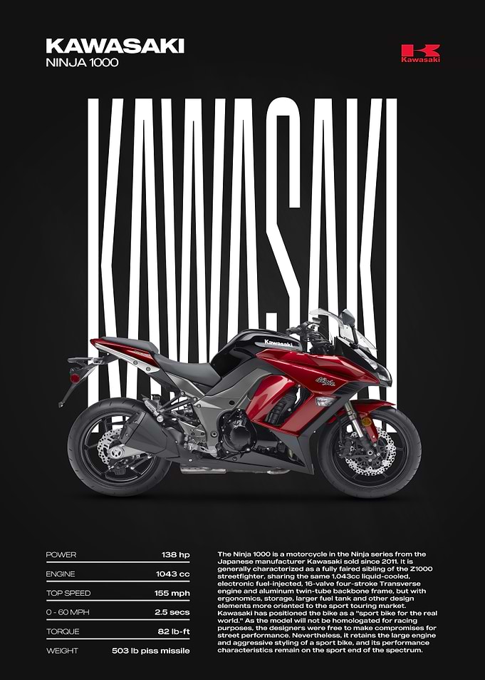 Kawasaki Ninja 1000 Motorcycle Poster