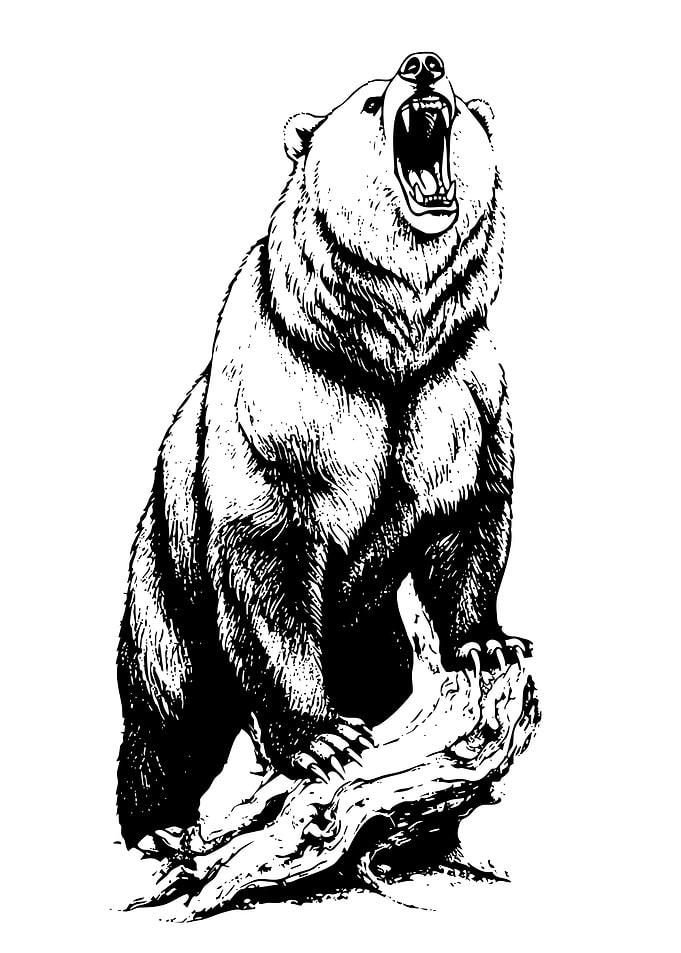 Roaring Bear on a Log