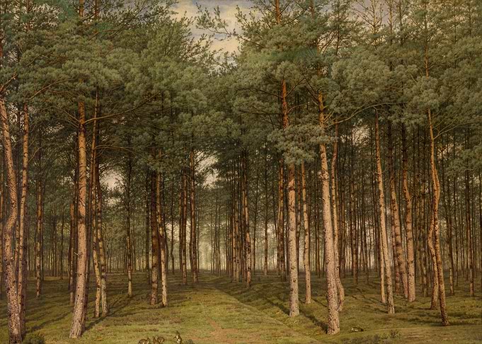 Pine Forest Landscape Painting