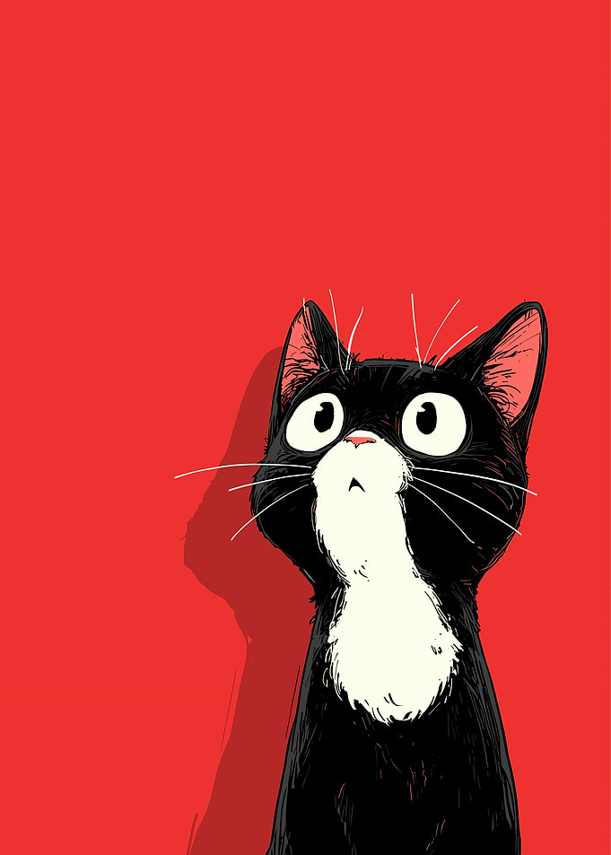 Cute Black and White Cat Looking Up