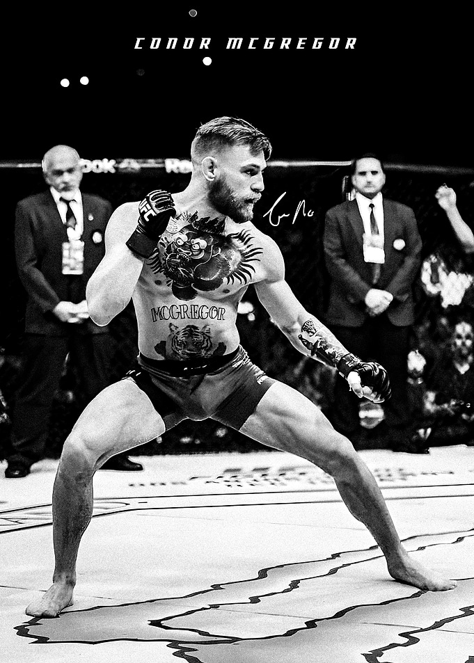 Conor McGregor in Fighting Stance