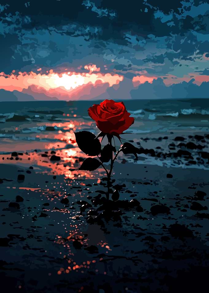 Red Rose at Sunset Beach
