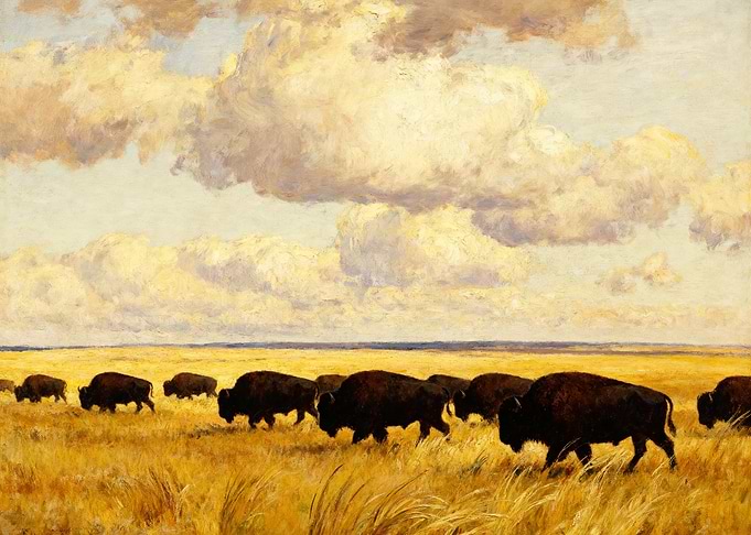 Bison Herd on the Plains