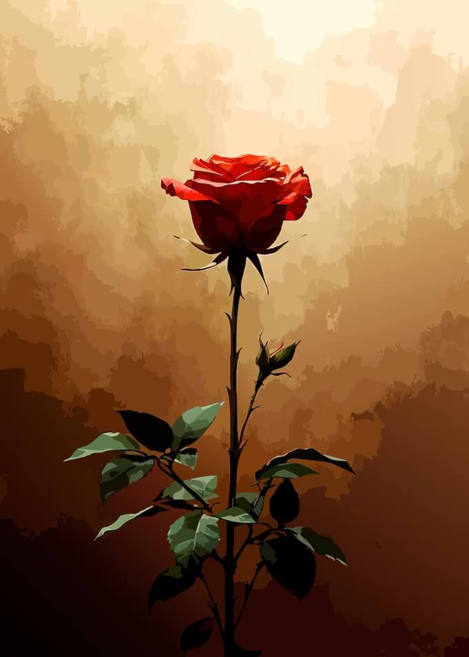 Red Rose with Buds