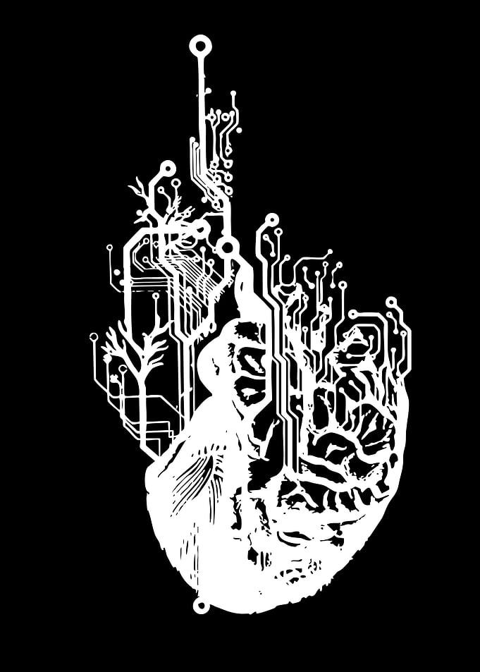 Digital Heart Circuit Board