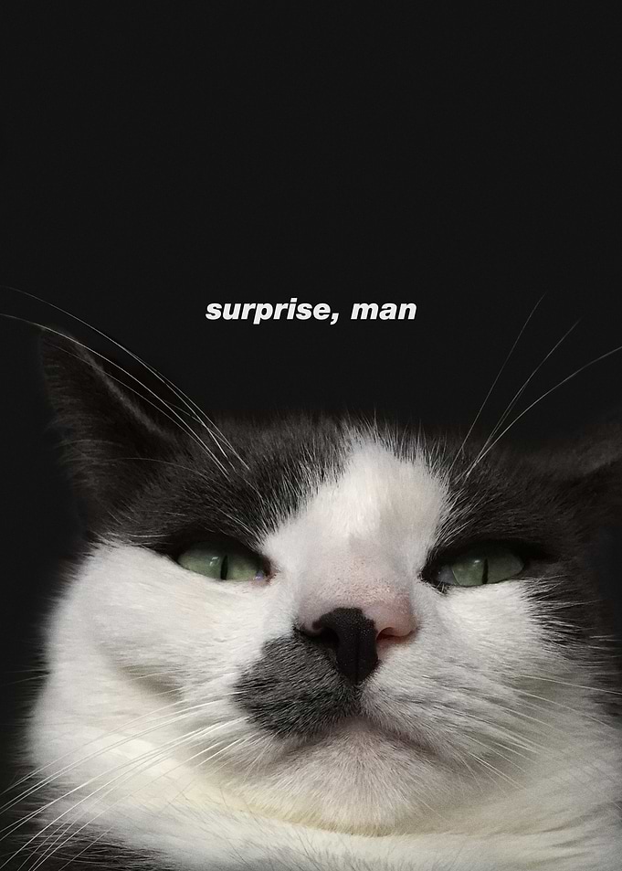 Surprise Man Cat