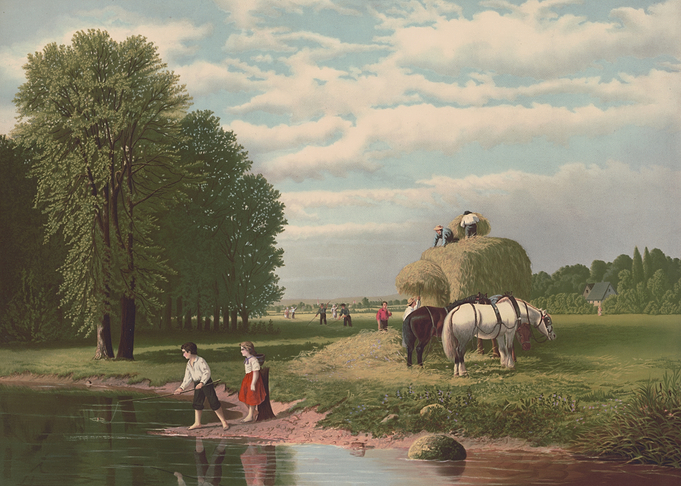 Rural Hay Harvesting Scene