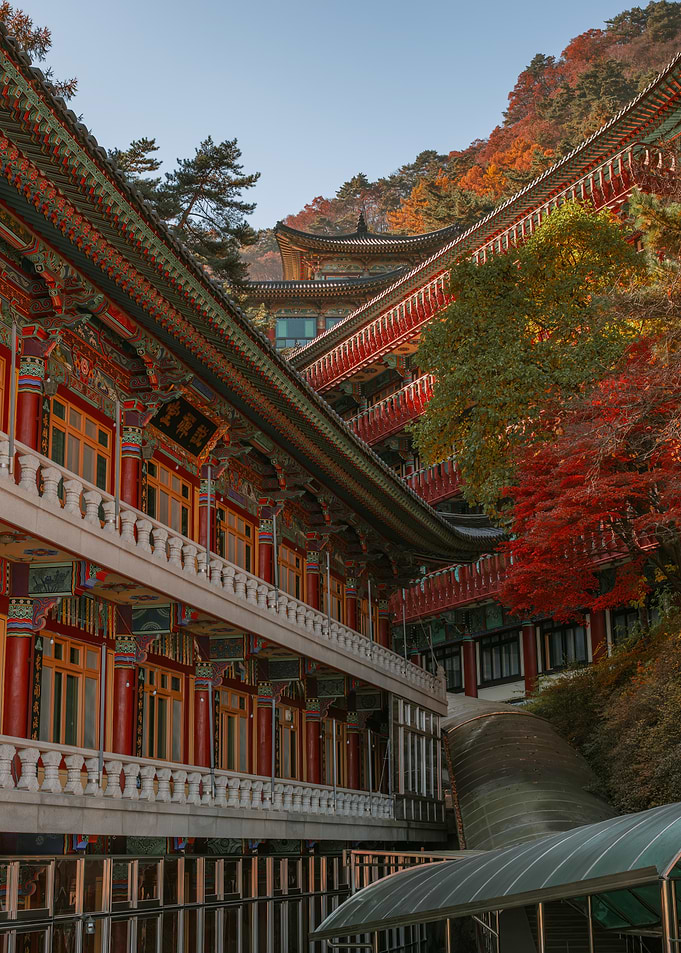 Korean Temple Layers in Autumn