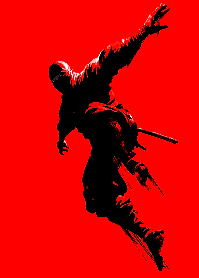 Ninja in Action