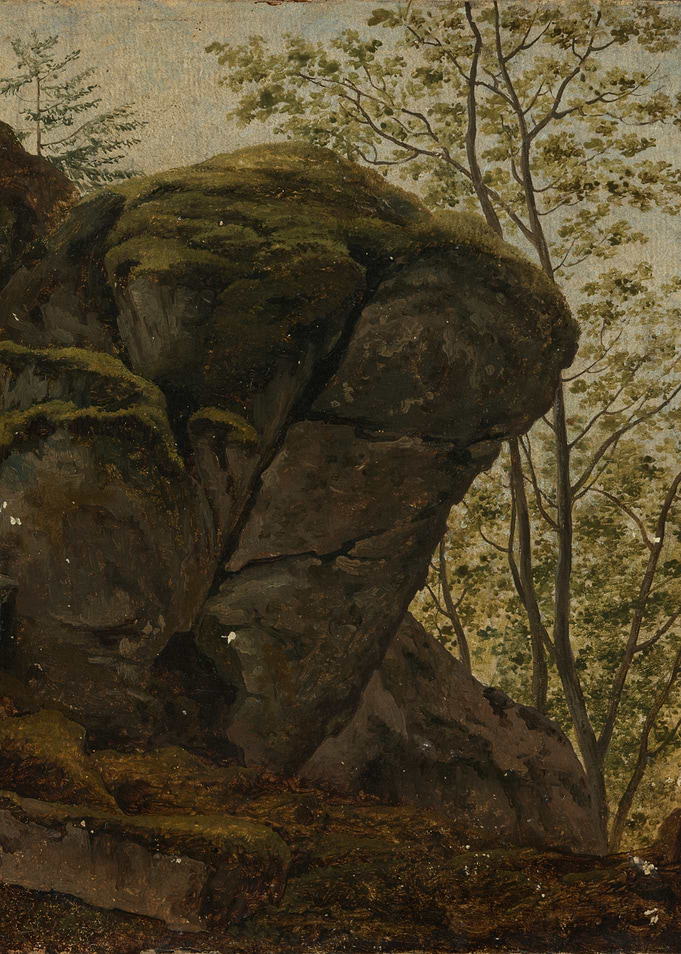 Mossy Rocks and Trees
