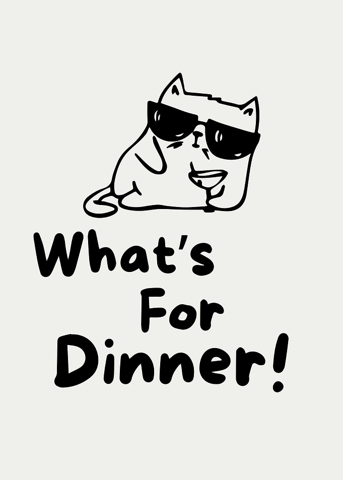 Cool Cat Asks What's For Dinner