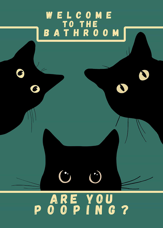 Fat Cats Toilet Welcome to the Bathroom