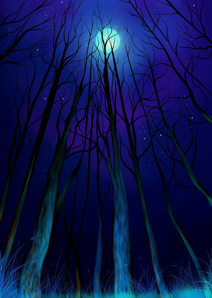 Mystical Forest Under a Full Moon