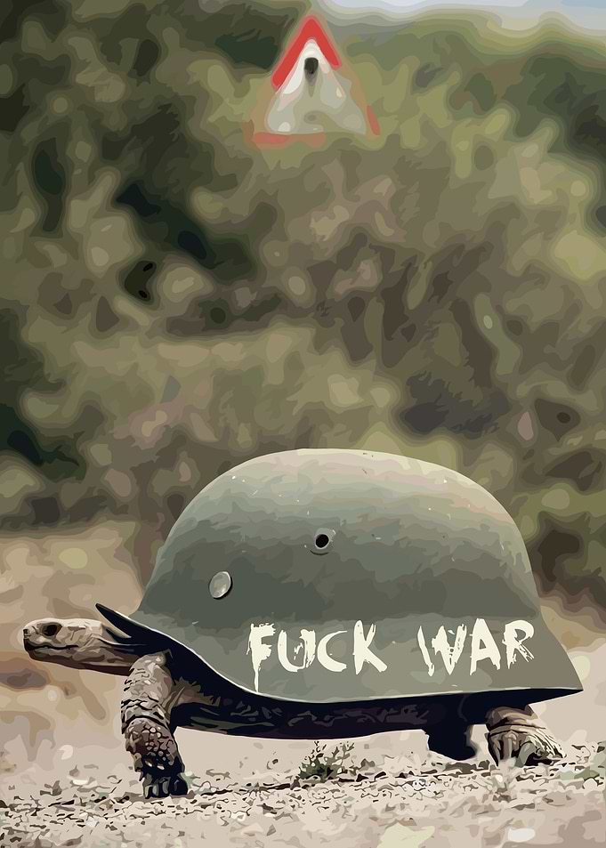 Turtle Wearing Helmet with Anti-War Message