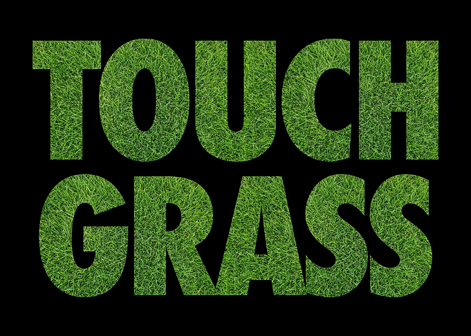 Touch Grass Gamer Meme Internet Slogan