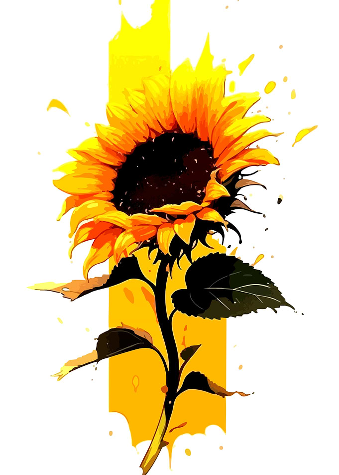 Vibrant Sunflower with Yellow Splashes