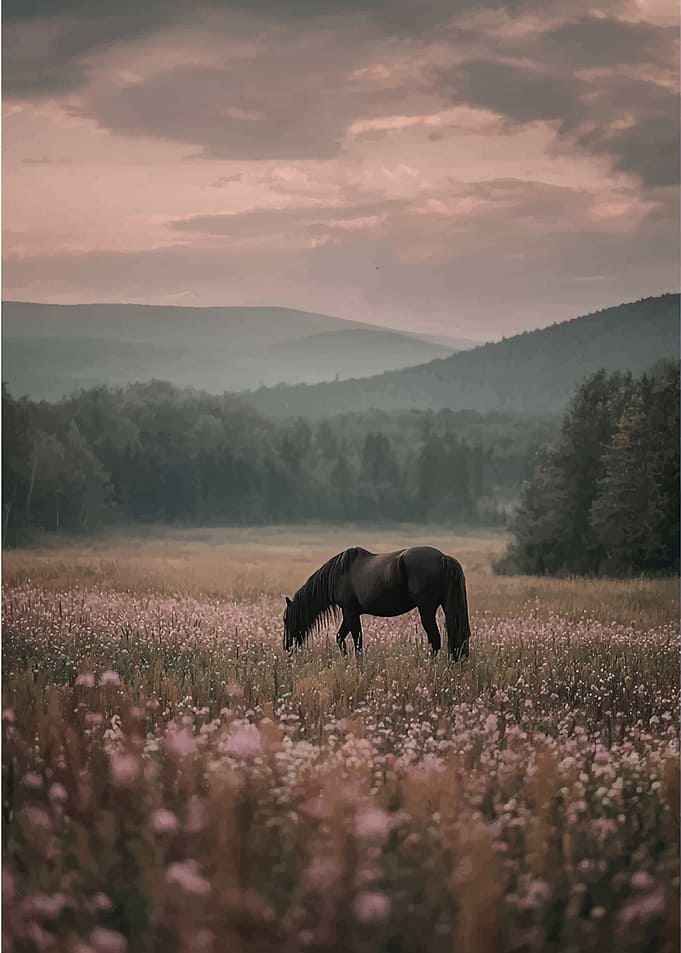 Horse grazing in a field of flowers