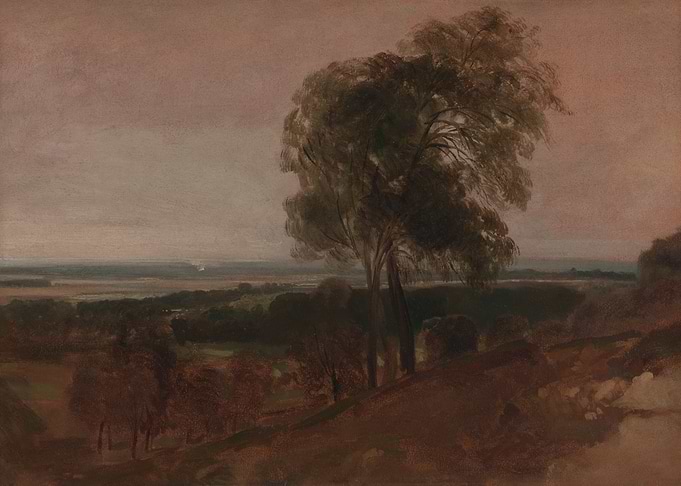 Misty Landscape with Tree
