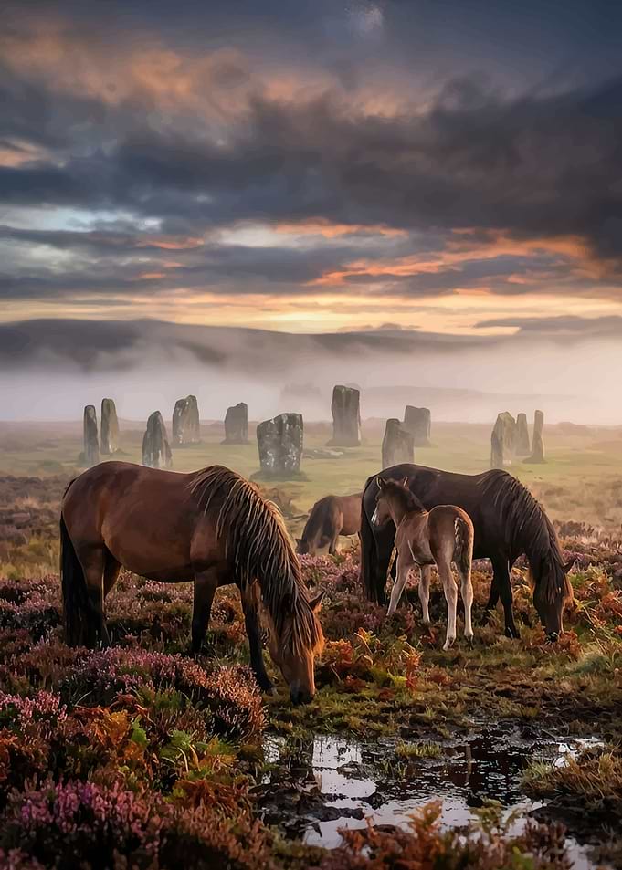 Horses at ancient stone circle at sunrise