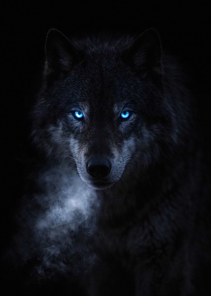 Wolf with glowing blue eyes