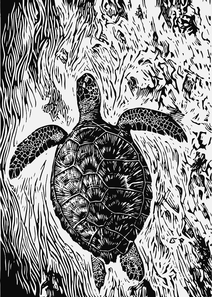 Sea Turtle Swimming Through Kelp