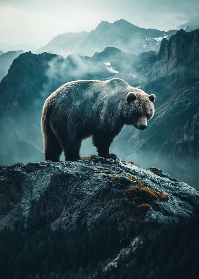 Bear on a Mountain Peak
