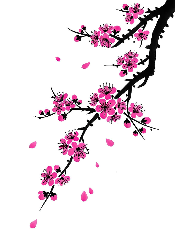 Cherry Blossoms Falling