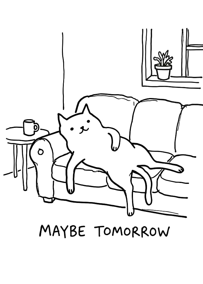 Lazy Cat on Couch