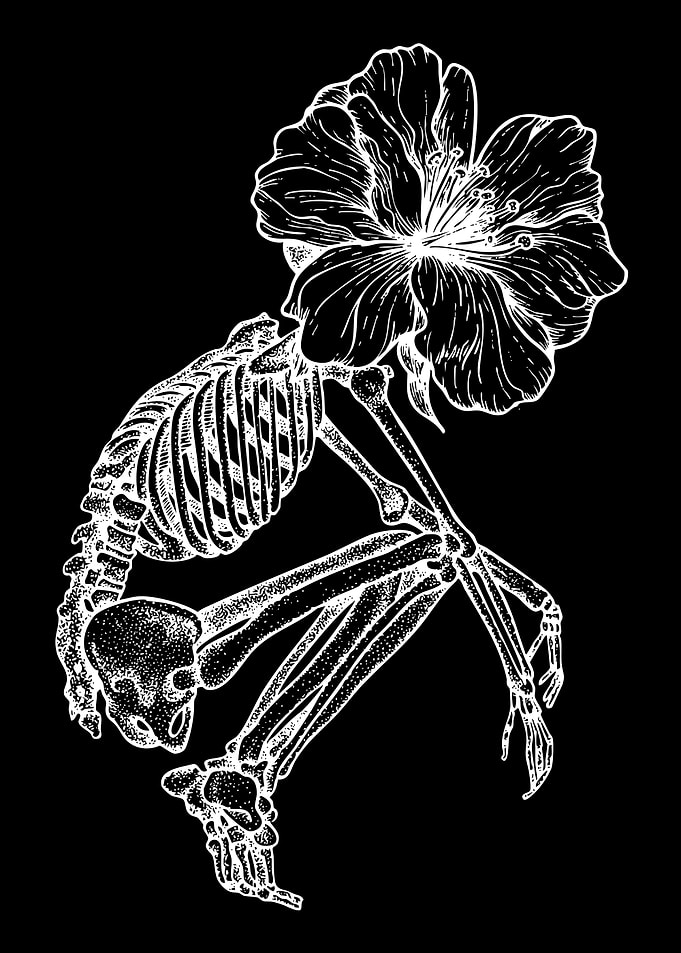 Skeleton with Flower Head