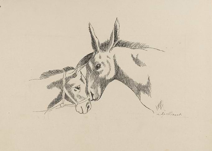 Two Donkeys Nuzzling