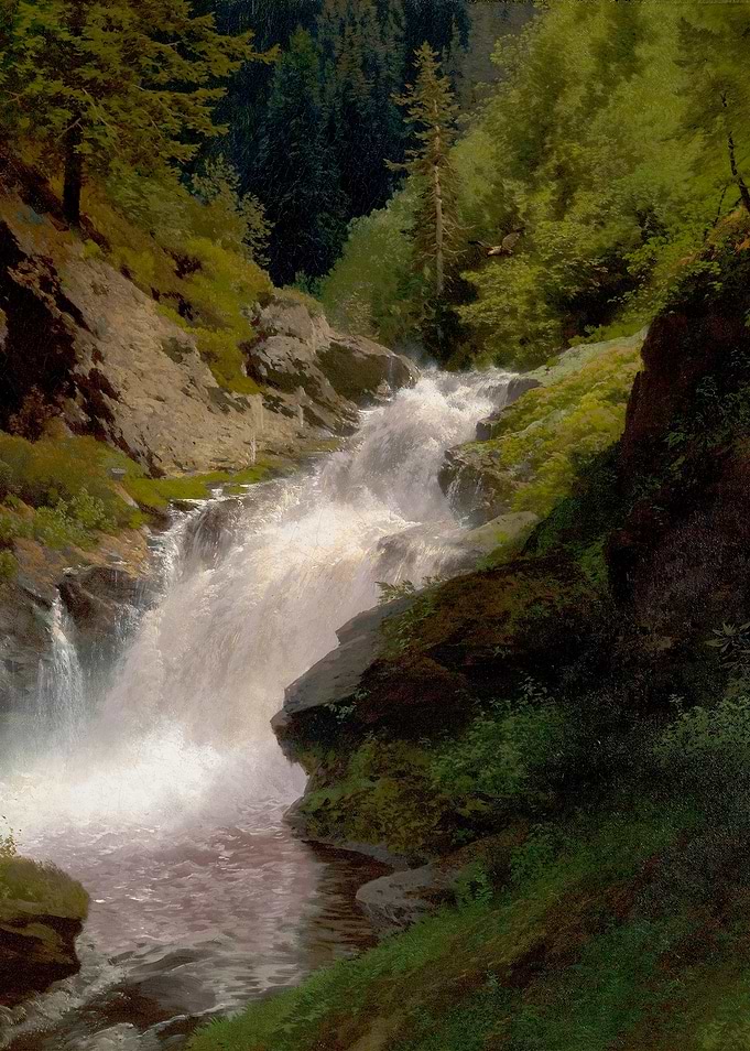 Majestic Waterfall in a Lush Forest
