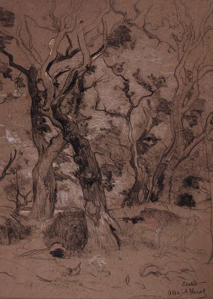 Sketch of Trees in a Forest