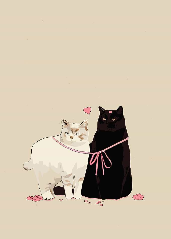 Two Cats with Pink Leash and Hearts