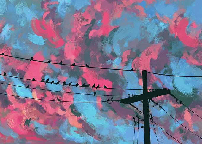 Birds on a wire against a colorful sky