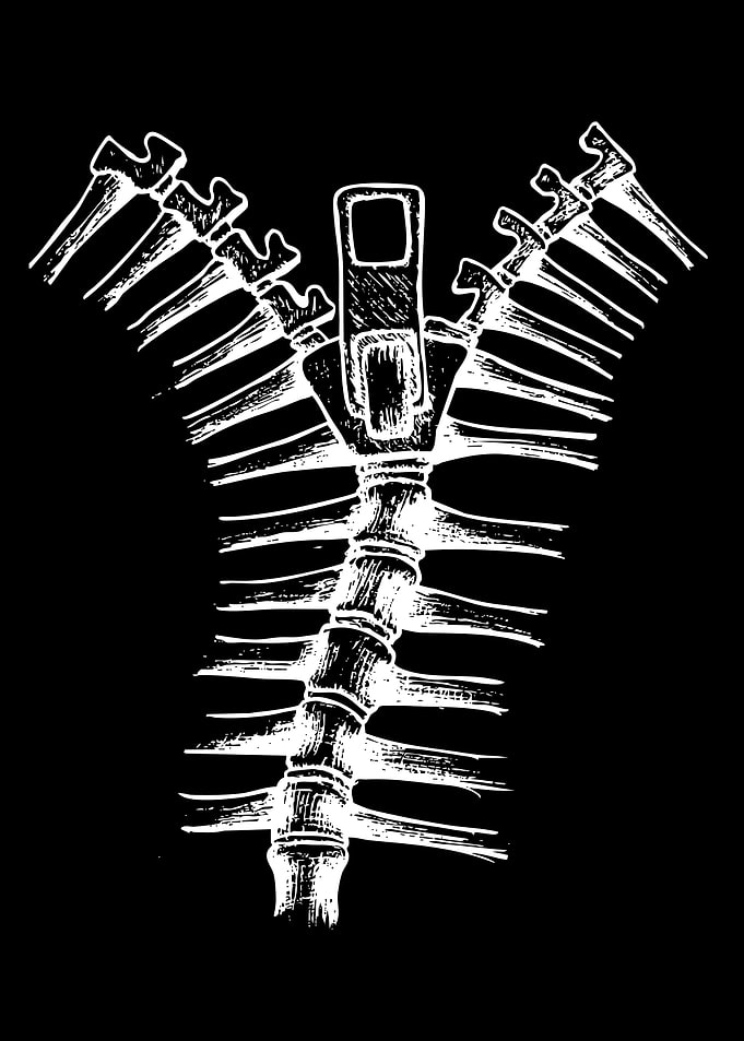Zipper made of bones
