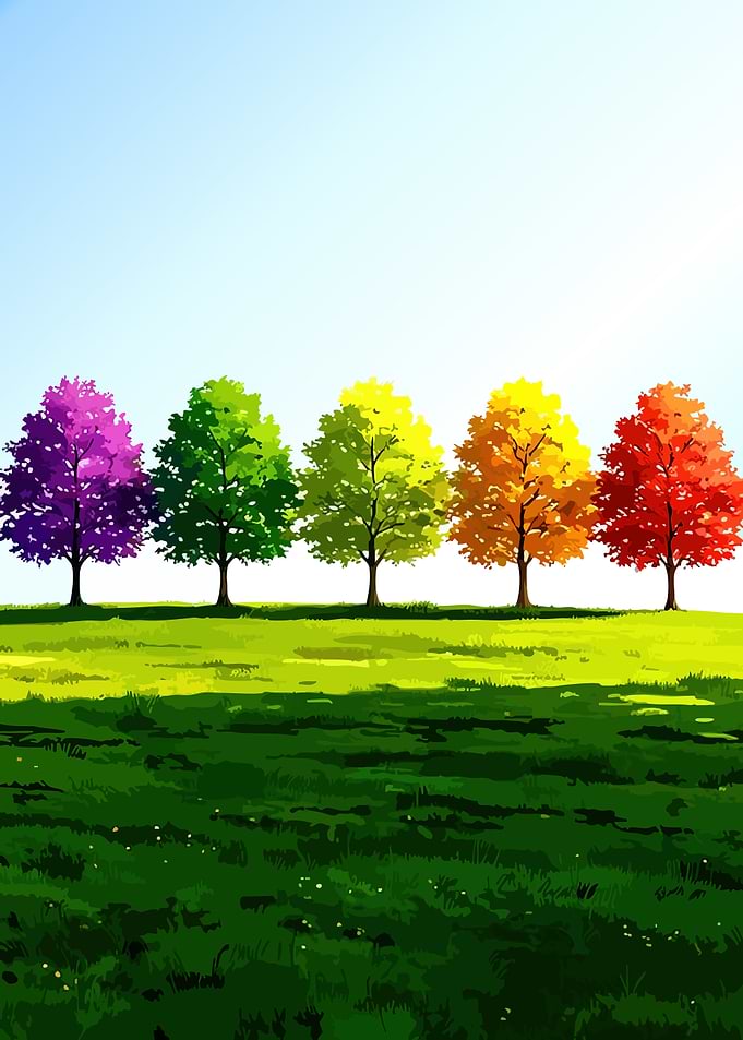 Colorful Trees in a Grassy Field