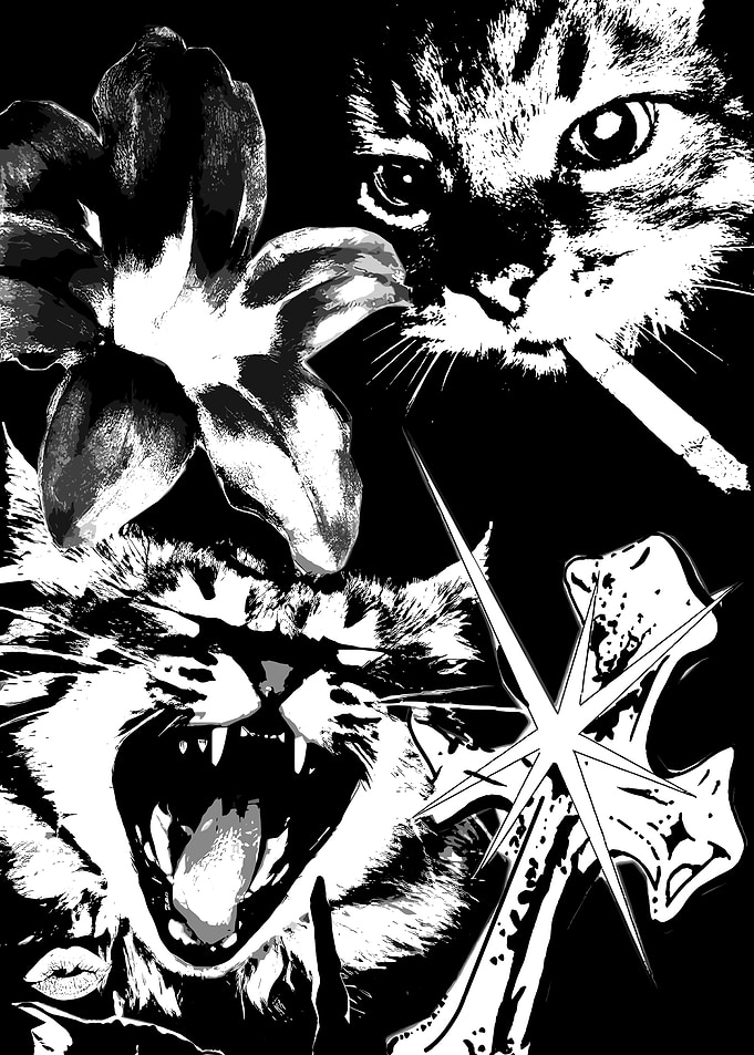 Aggressive Cat with Flower and Cross