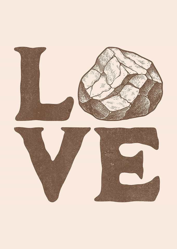 LOVE Rocks Rock Collector Geology Lover
