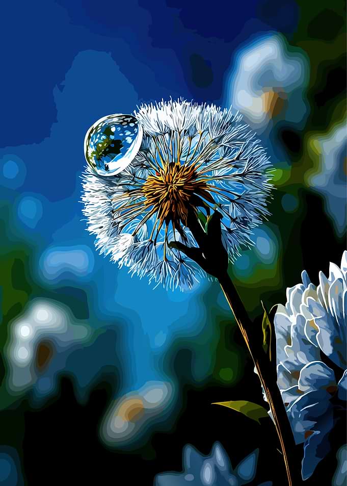 Dandelion with Water Droplet